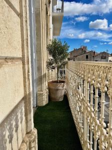 Vigne et mer-Spacieux Appartement Haussmannien-2chambres-Wifi