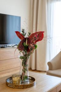 Vincent Sunlight Stay - Near Clinic, Arena and Stadium