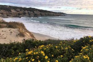 Self Catering Apartment - De Kelders