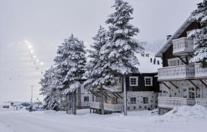 Jukola Juhani Ski-in Ski-out by Aavalevi