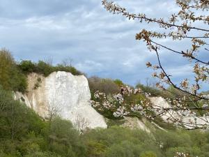 Wohnung - Fisch Am kleinen Königsstuhl