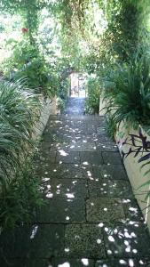 Apartments Petković