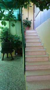 Apartments Petković