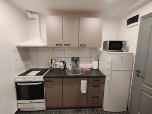 Ērts vienistabu dzīvoklis Rīgā