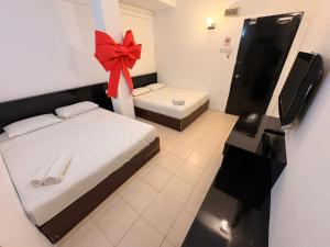 M Candy Hotel