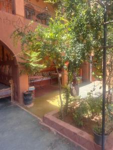 Auberge Des Jardins du Dades