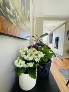 Green Garden - Appartement Terrasse centre Lille