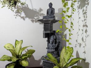 Daylily Homestay
