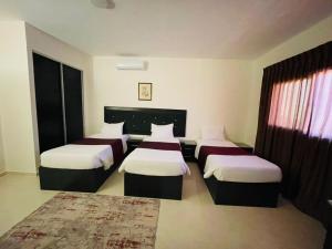 Plaza View Hostel