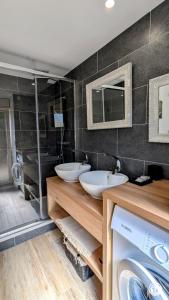 Le Brocangîte à Jules