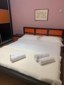 Cozy and Homely Apartment