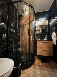 Apartment Sport & Sauna Prague