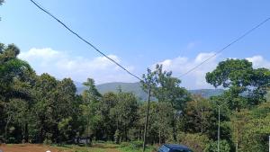 Mountain View Meadows