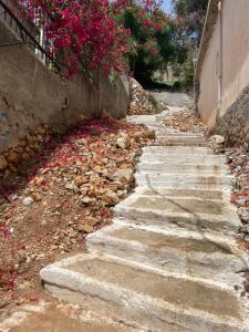 Enopia Apartments Himara