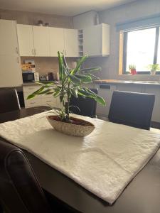 Casa Moderna na Aldeia