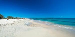 Attilio's House img27