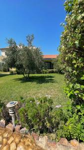 Luxury Villa Exclusive Neighborhood