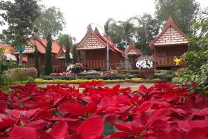 Naya Park View Hotel