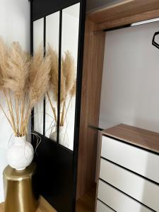 Le Paon DOr - En plein coeur du Vieux Troyes