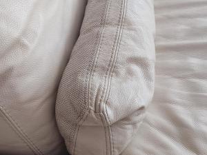 fully-equipped luxury penthouse