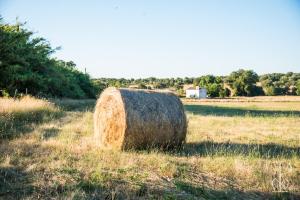 Quinta do Poço Novo