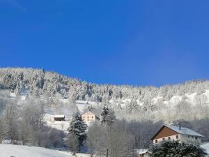 Duplex avec vue au centre de Bussang