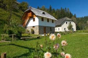 Turistična kmetija Povh 