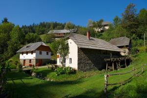 Turistična kmetija Povh 