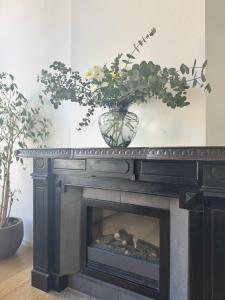 Apartment in city centre