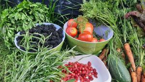 Dawno Temu - Agroturystyka Premium