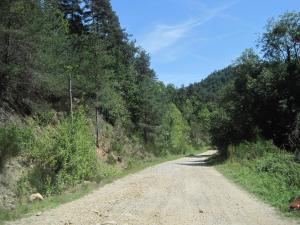 Campings La Roulotte des Bords de l'Ance : photos des chambres