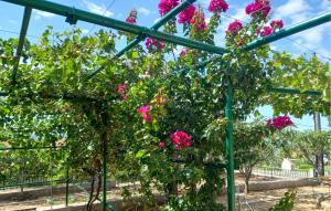 3 Bedroom Beautiful Apartment In Maslenica