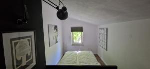 Secret garden of Piran