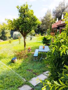 Quinta da Casa Matilde - NATURE HOUSE