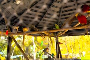 ASA | Quinta da Esmeralda | Pub | Piscina | Chalés