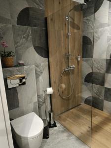 MODERNOVA Apartament Walendów Park