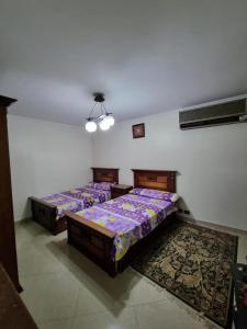 Apartment for Rent in Degla Maadi