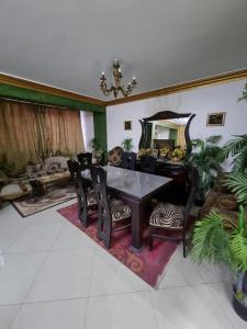 Apartment for Rent in Degla Maadi