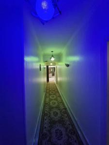 Apartment for Rent in Degla Maadi