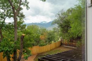 Champion Estate Epic Game Room Fire Pits & Views