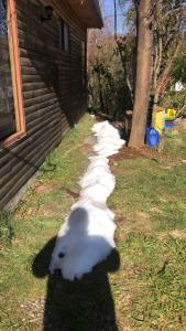 Cabaña Recinto Valle Las Trancas