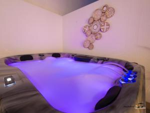 FLAMINGOS & SPA JACUZZi