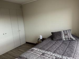 Dpto Mirador Philippi Vista Lago