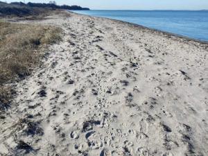 Seaside Haven in Stoense-By Traum