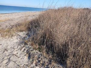 Seaside Haven in Stoense-By Traum