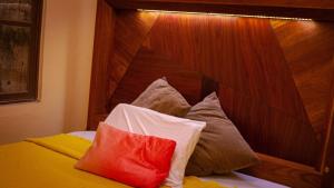 céntrico guadalajara