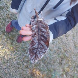 Casa em Urubici Sítio Pássaro Dágua