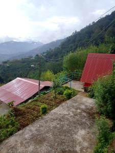 Gaurishankar organic home stay