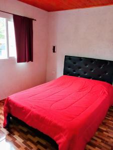 Complejo Genesis MALLIN