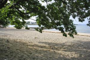 Holiday Home in Privlaka near Sandy Beach